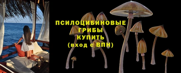 бошки Алексеевка