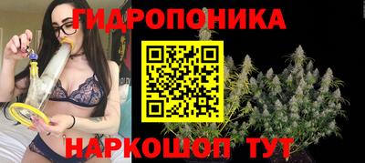 гидропоника Славгород