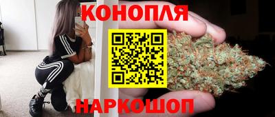 гидропоника Славгород