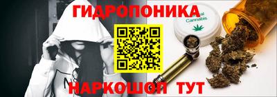 трава Сланцы