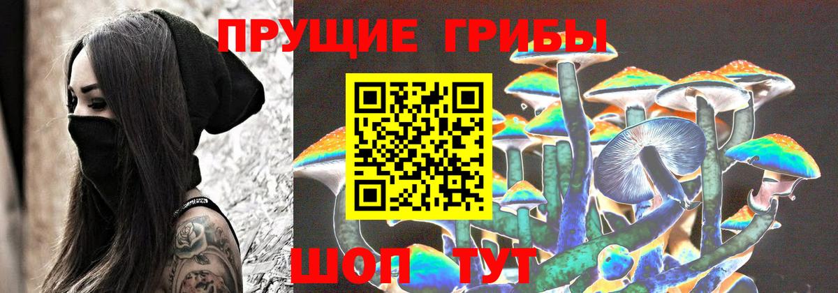 Псилоцибиновые грибы Magic Shrooms  Вход с VPN  Галлюциногенные грибы MAGIC MUSHROOMS  Махачкала 