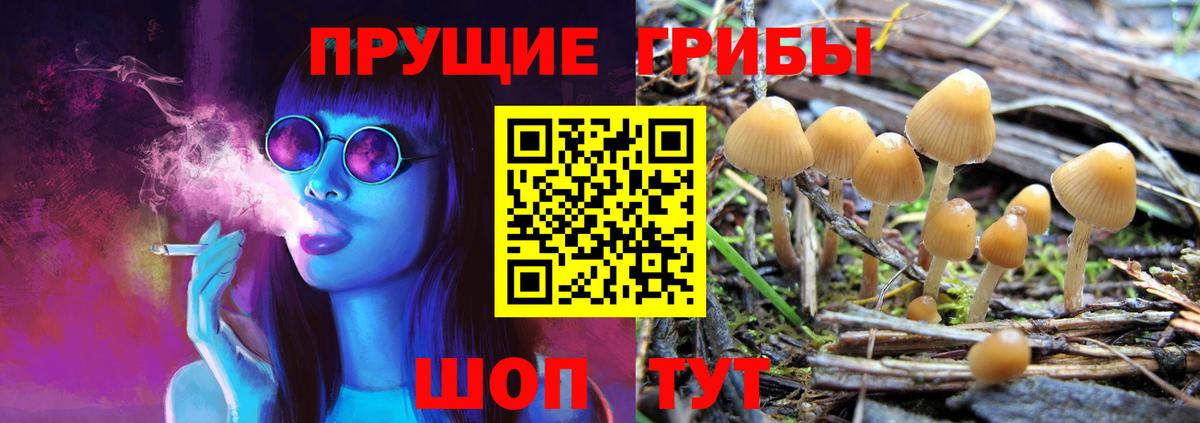 Псилоцибиновые грибы ЛСД Махачкала